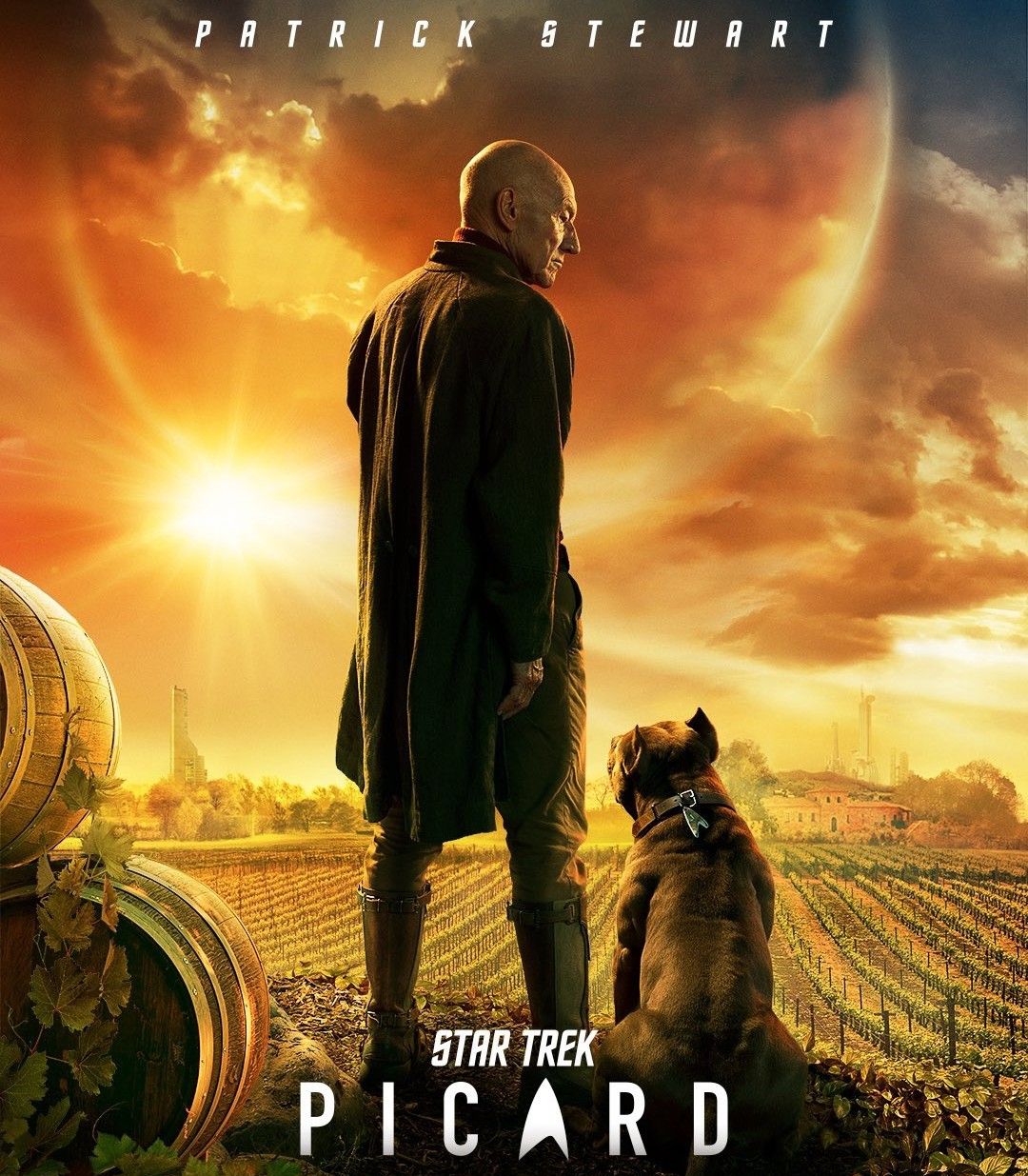 Star Trek Picard TV show Poster Vertical