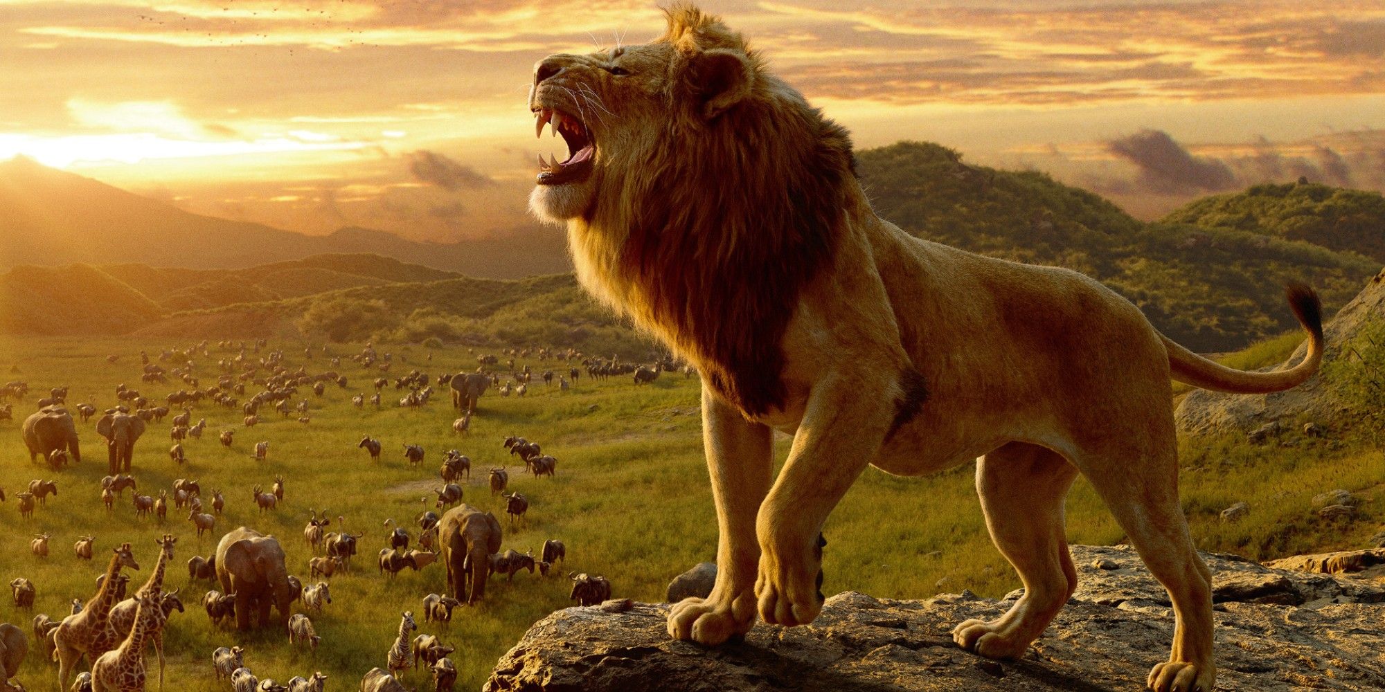 The Lion King 10 Hidden Details You Missed In Disney’s Remake