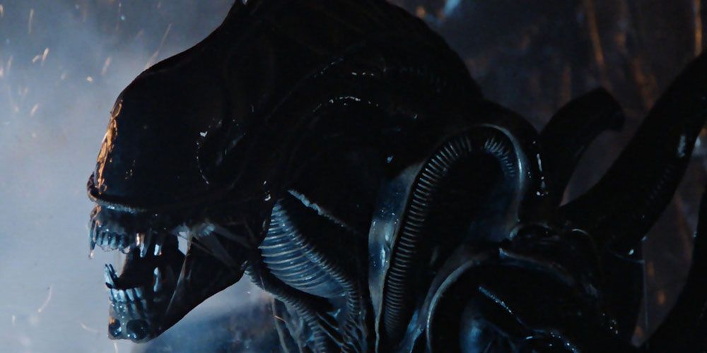 The Xenomirph as seen in Aliens