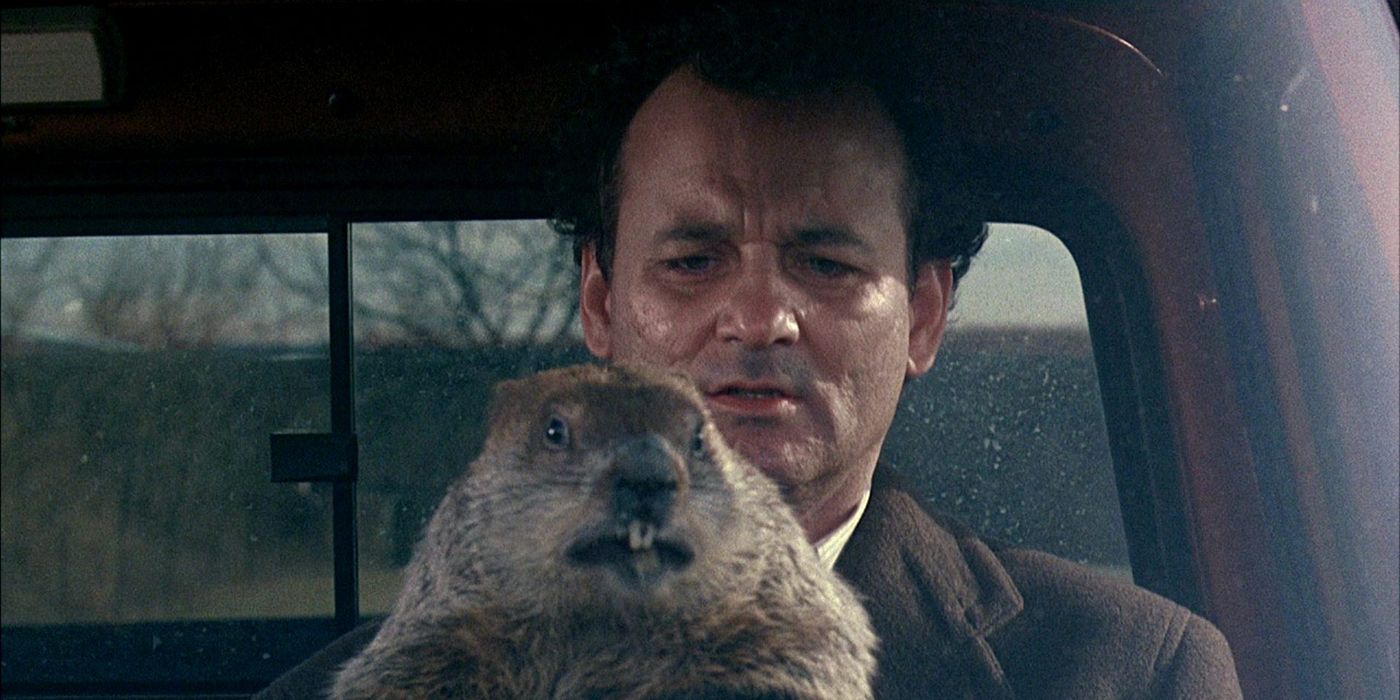 Bill Murray in Groundhog Day