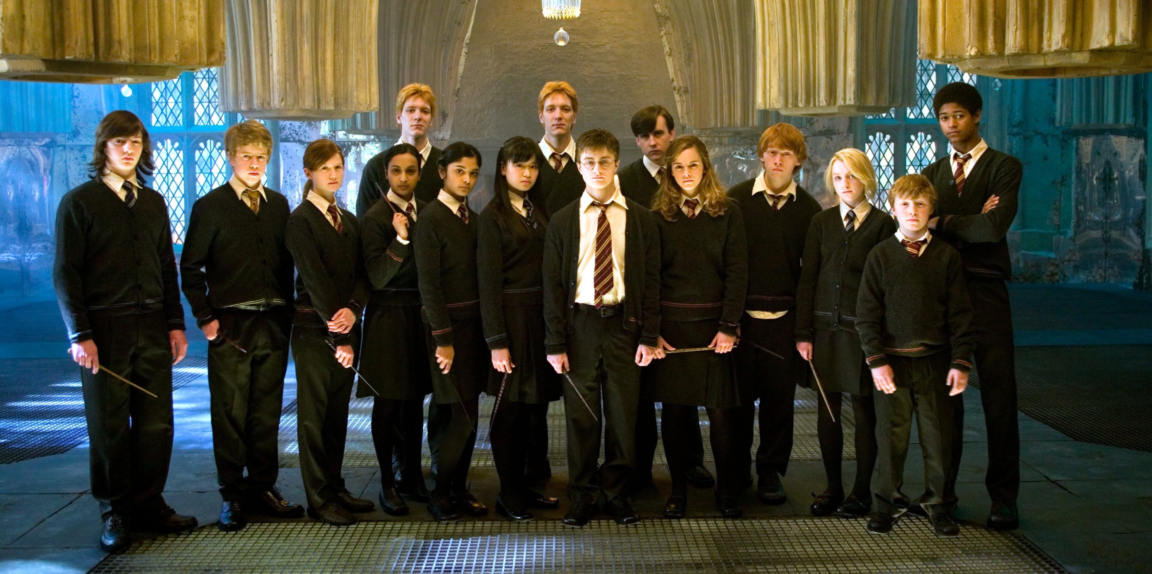 /wordpress/wp-content/uploads/2019/07/dumbledores-army-e1561988318958.jpg