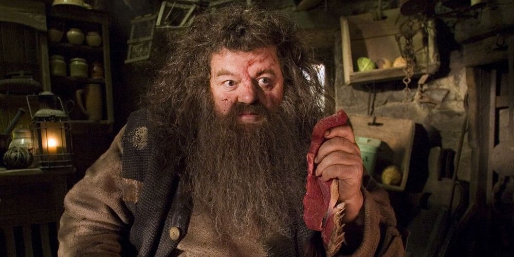 Hagrid with cuts in his face holding a steak in his hut