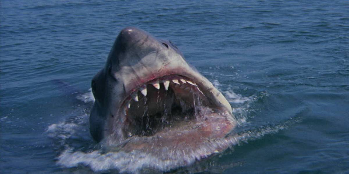 O tubarão de Jaws emerge no mar