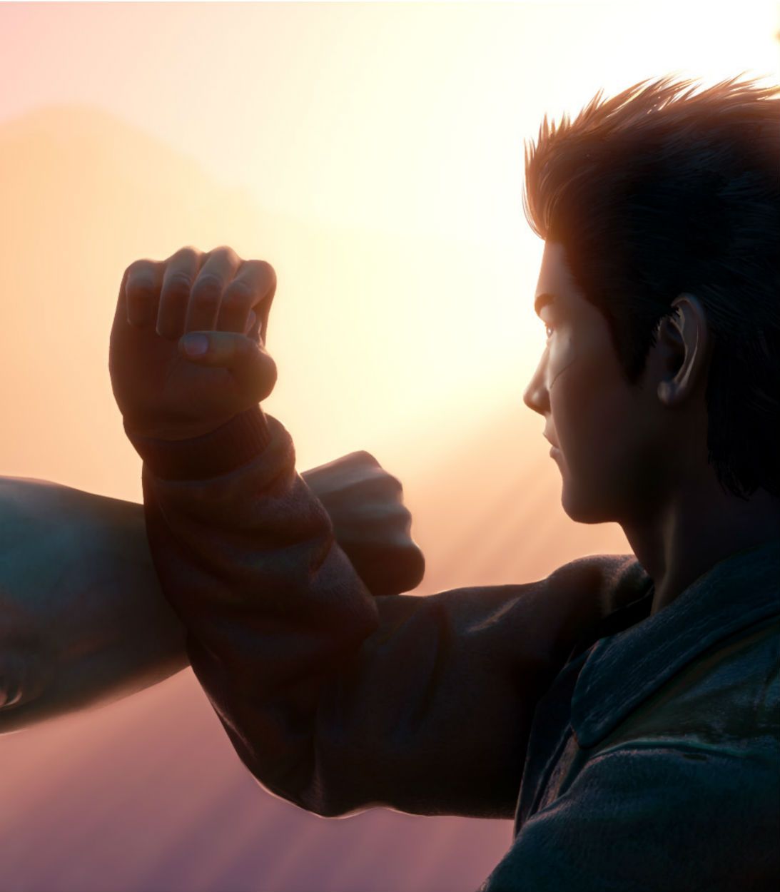 shenmue 3 fight vertical