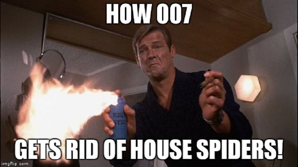 007 house spiders meme