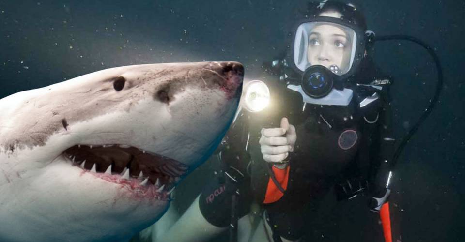 47 Meters Down S Diving Sharks Are Totally Inaccurate