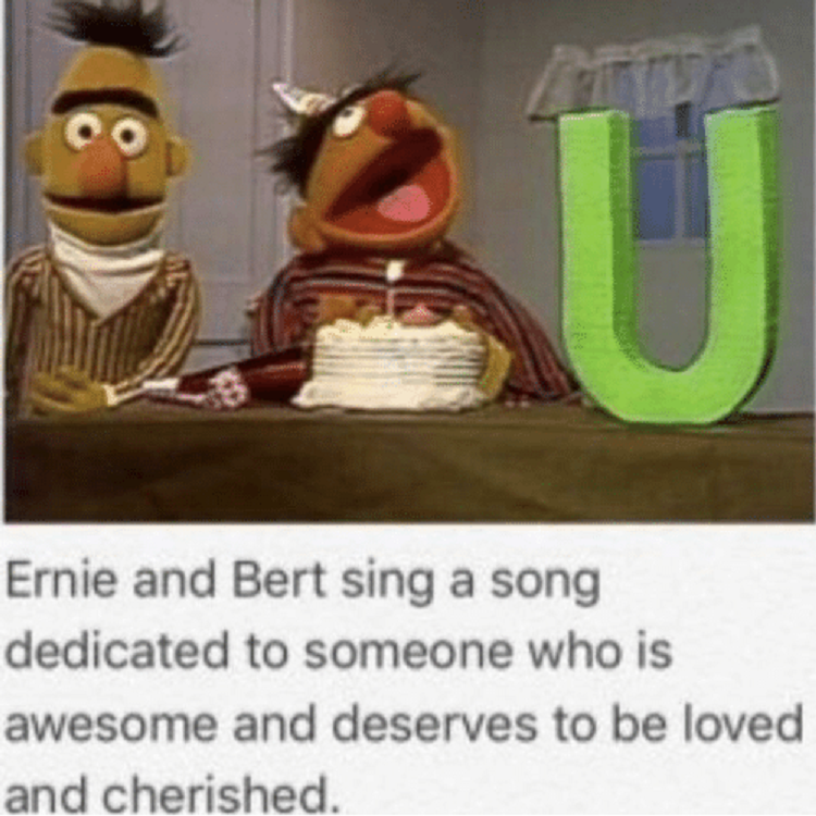 Sesame Street 10 Hilarious Adorable Bert And Ernie Memes Sesame Street 10 Hilarious Adorable Bert And Ernie Memes