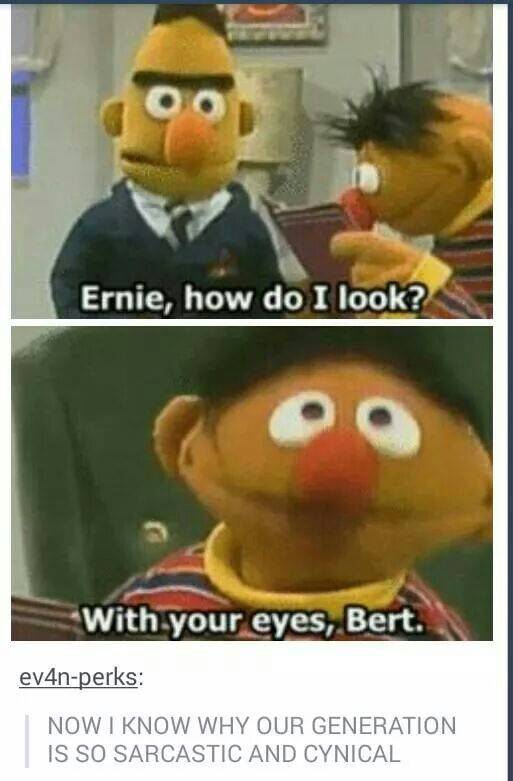 Sesame Street 10 Hilarious Adorable Bert And Ernie Memes