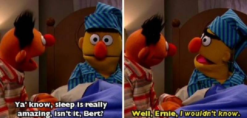 Sesame Street 10 Hilarious Adorable Bert And Ernie Memes Sesame Street 10 Hilarious Adorable Bert And Ernie Memes