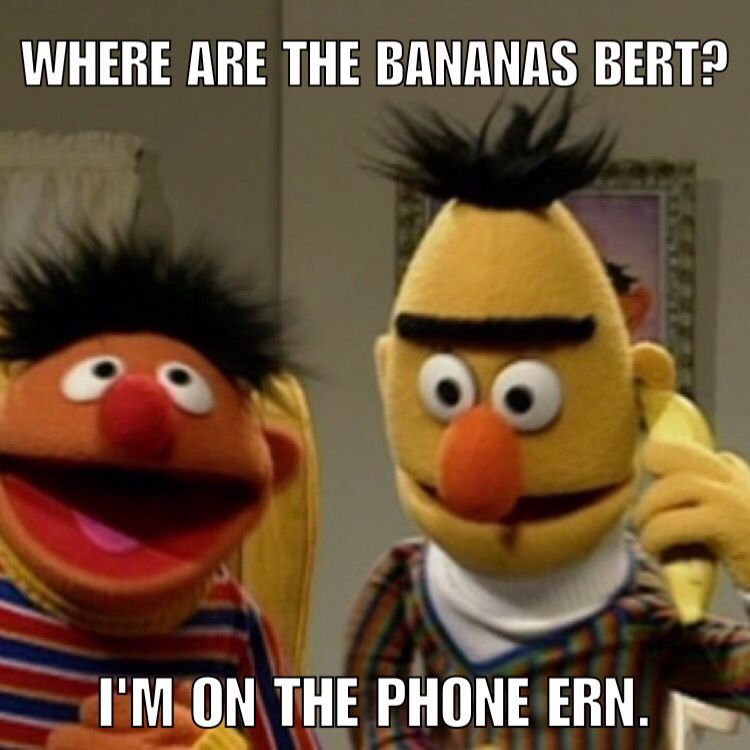 Sesame Street: 10 Hilarious (& Adorable) Bert And Ernie Memes