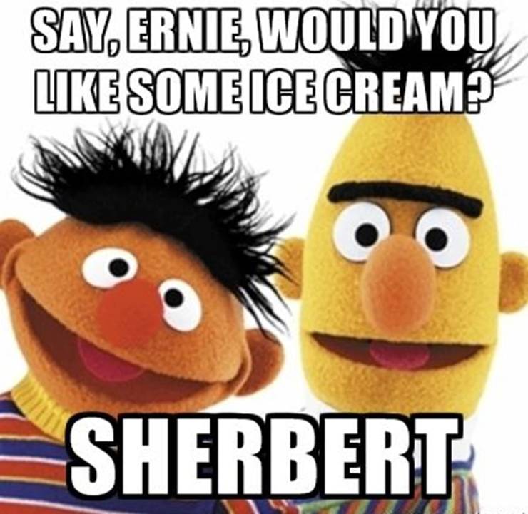 Sesame Street 10 Hilarious Adorable Bert And Ernie Memes