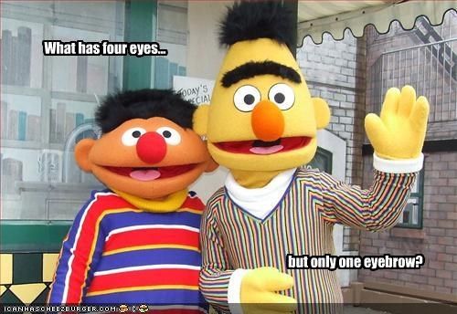 Sesame Street 10 Hilarious (& Adorable) Bert And Ernie Memes