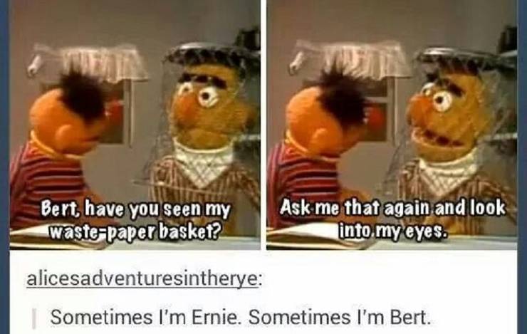 Sesame Street 10 Hilarious Adorable Bert And Ernie Memes