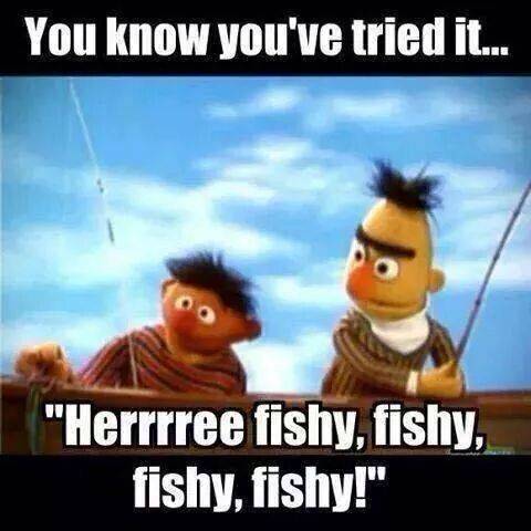 Sesame Street 10 Hilarious Adorable Bert And Ernie Memes Sesame Street 10 Hilarious Adorable Bert And Ernie Memes
