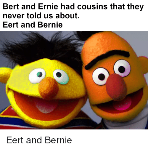 Sesame Street 10 Hilarious Adorable Bert And Ernie Memes