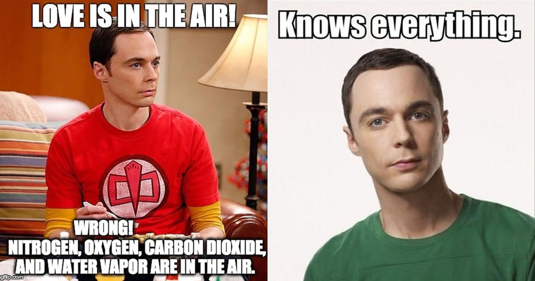 sheldon quotes love is in the air