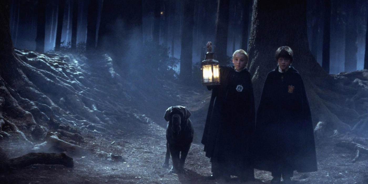 Draco and Harry walking in the Forbidden Forest in Harry Potter. 