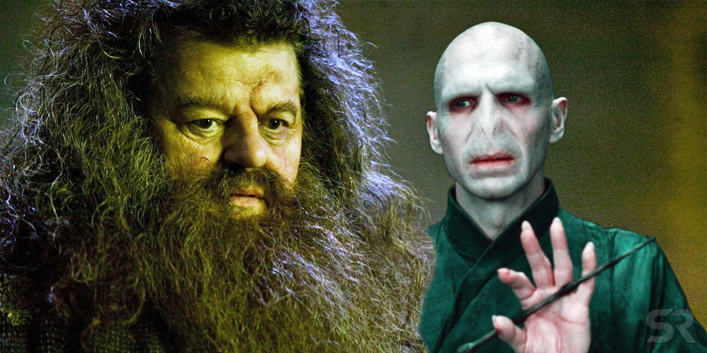 Hagrid and Voldemort in Harry Potter