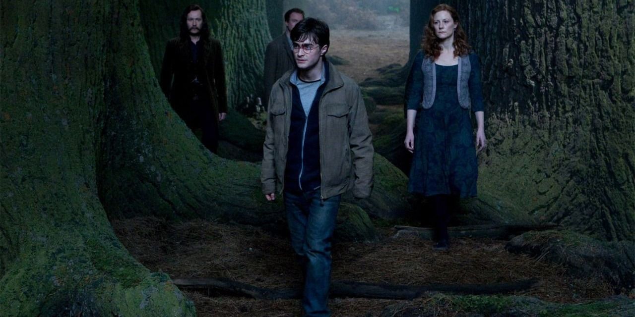 Lilly Potter, James Potter, Sirius Black, and Harry Potter in the Forbidden Forest