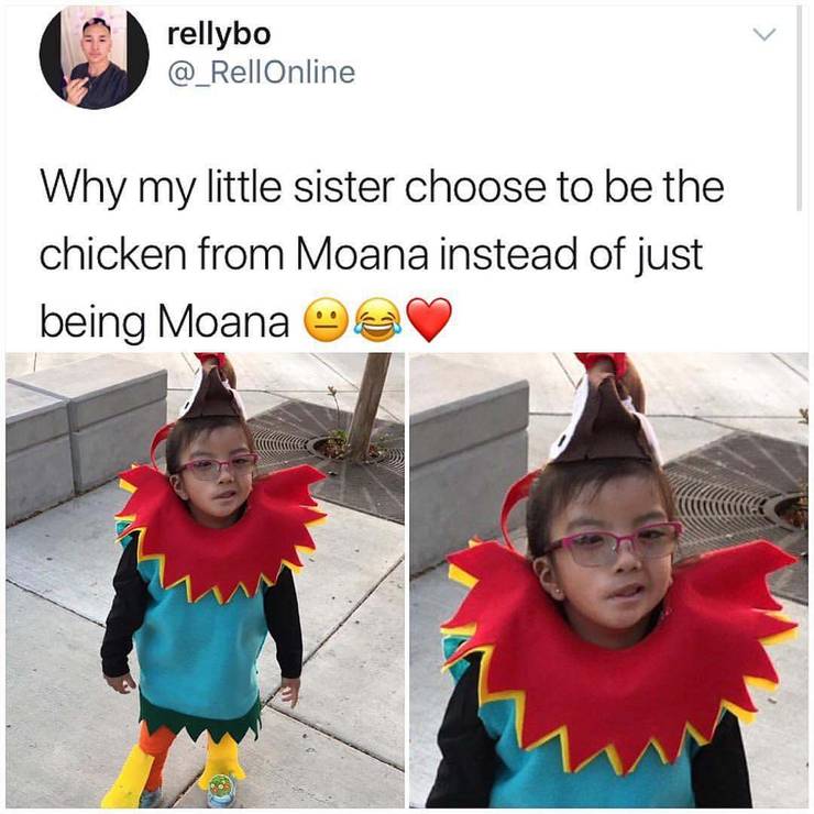 10 Hilarious Moana Memes That Are Too Funny Screenrant