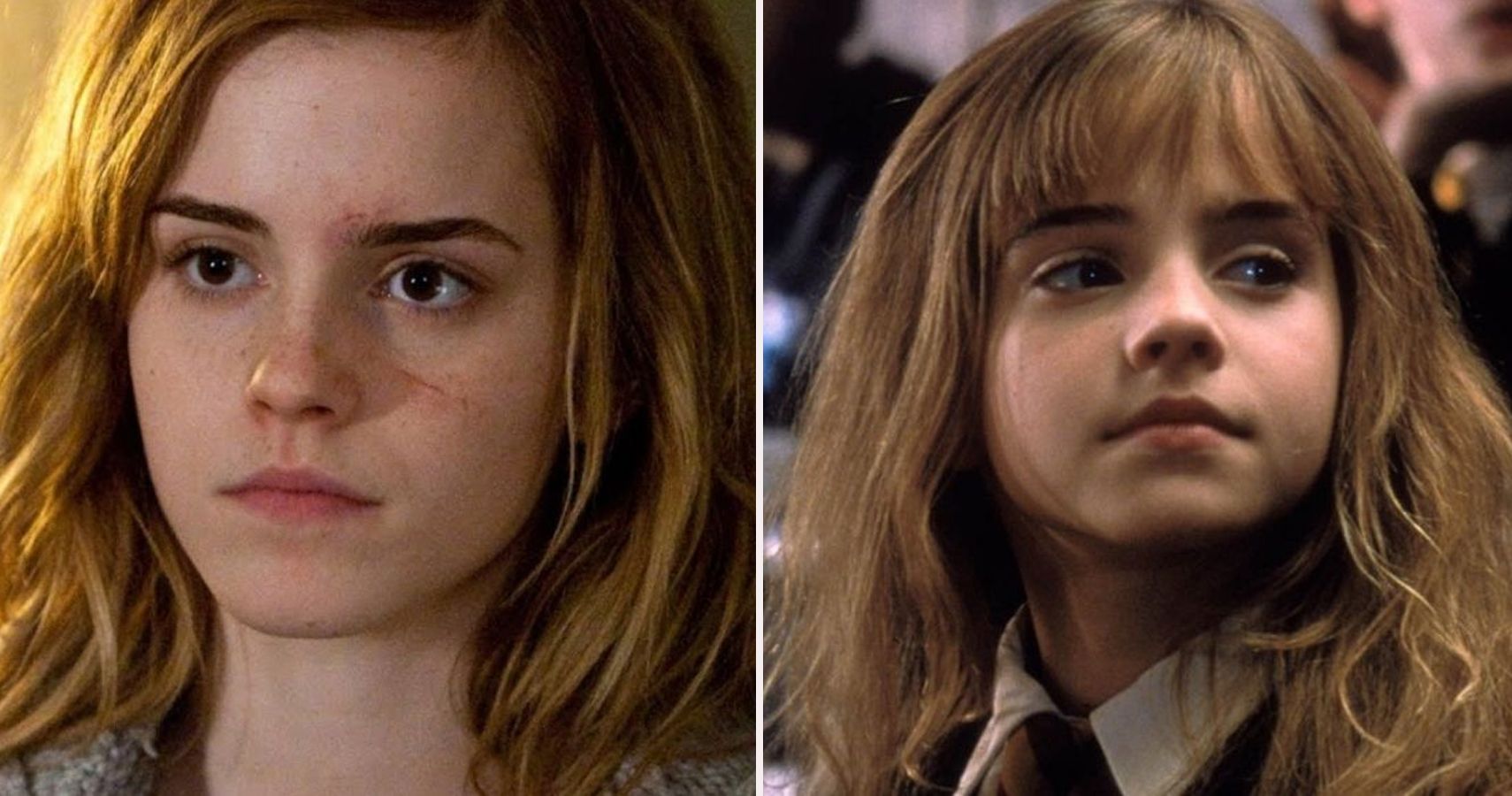 Harry Potter 10 Things About Hermione Granger That Haven