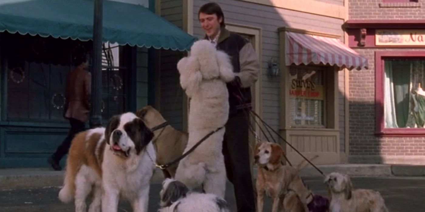 Kirk walking a lot of dogs on Gilmore Girls