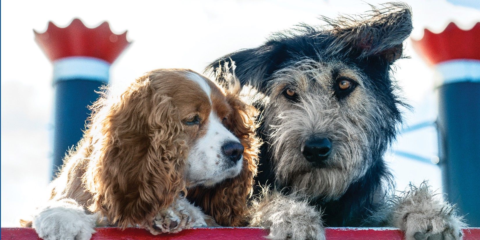 Lady and the Tramp in the 2019 live-action movie