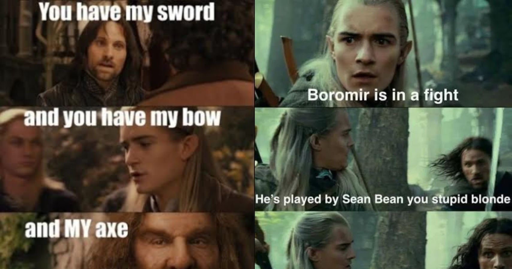 Opstand Kreet extreem Lord Of The Rings: 10 Hilarious Fellowship Of The Ring Logic Memes That Are  Too Funny