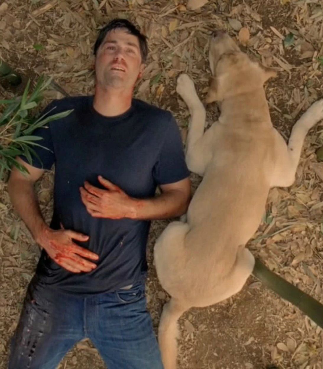 Lost Finale The End Vertical TLDR