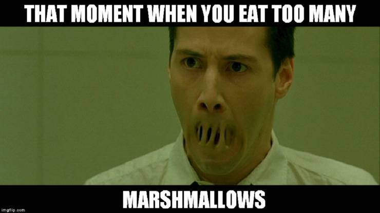 10 Matrix Memes That Ll Have You Laughing Your Way To The Real World