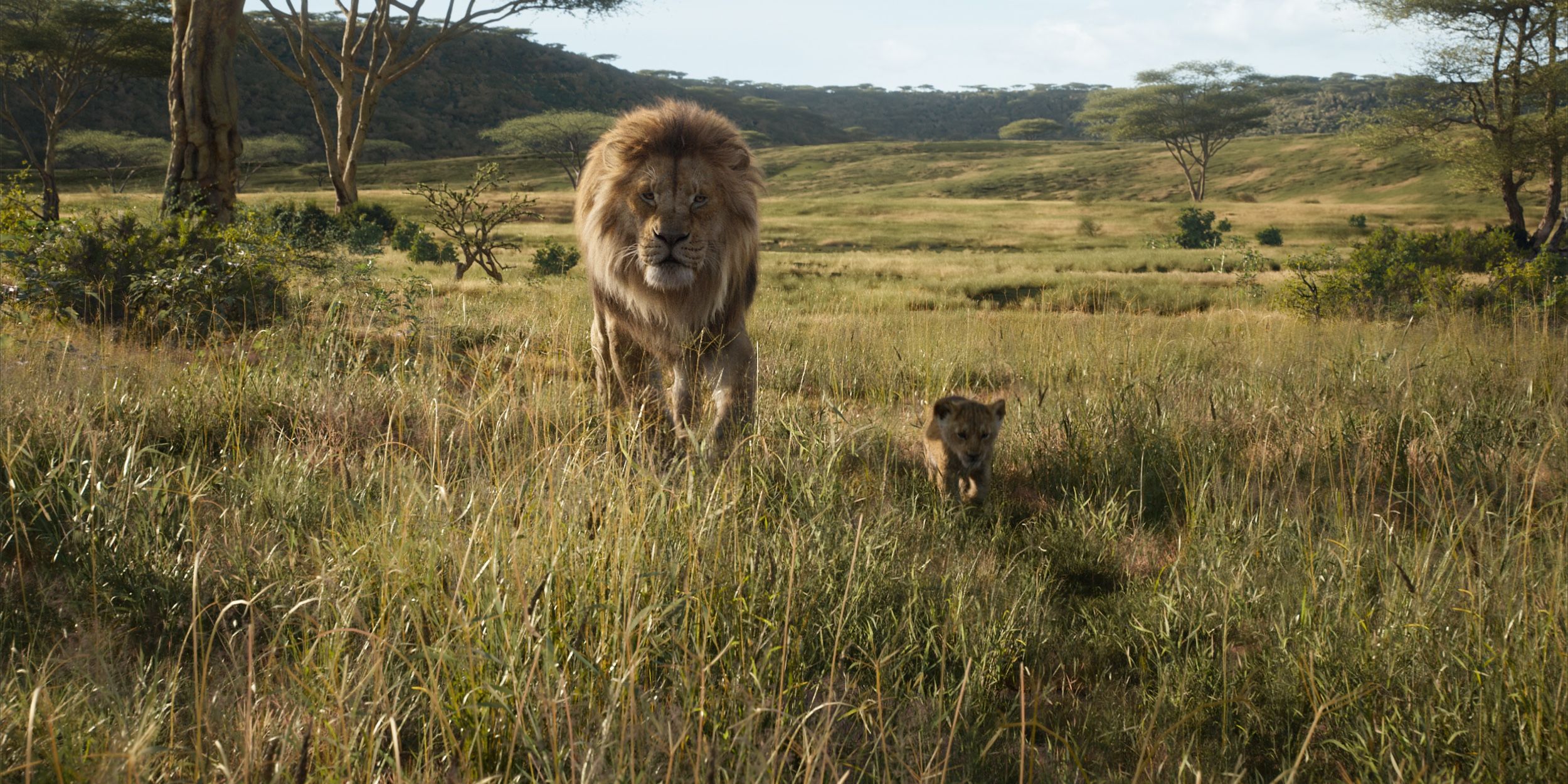 Mufasa and Baby Simba in The Lion King 2019