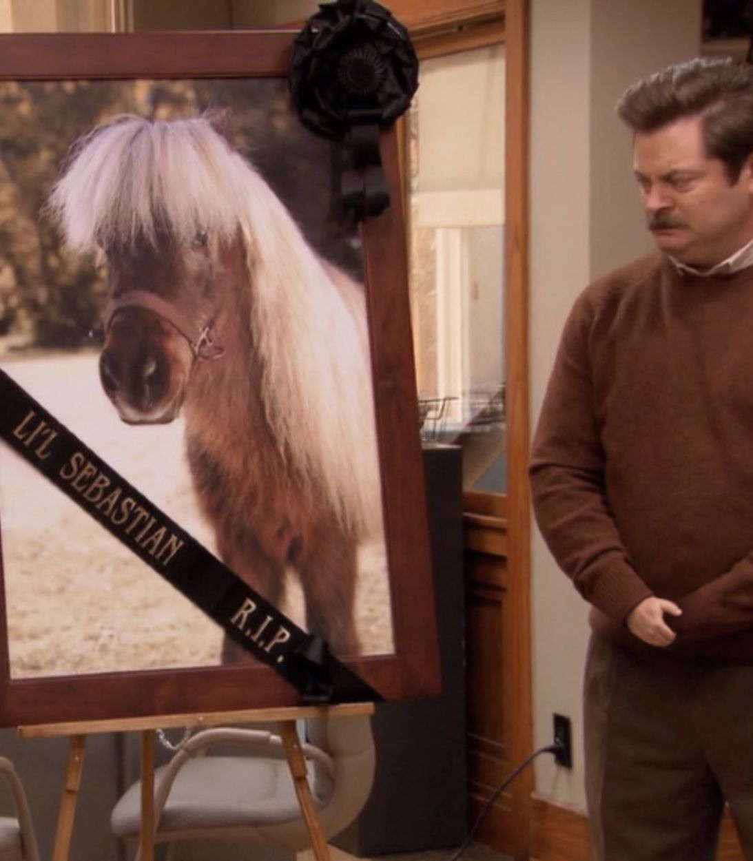 Parks and Rec vertical