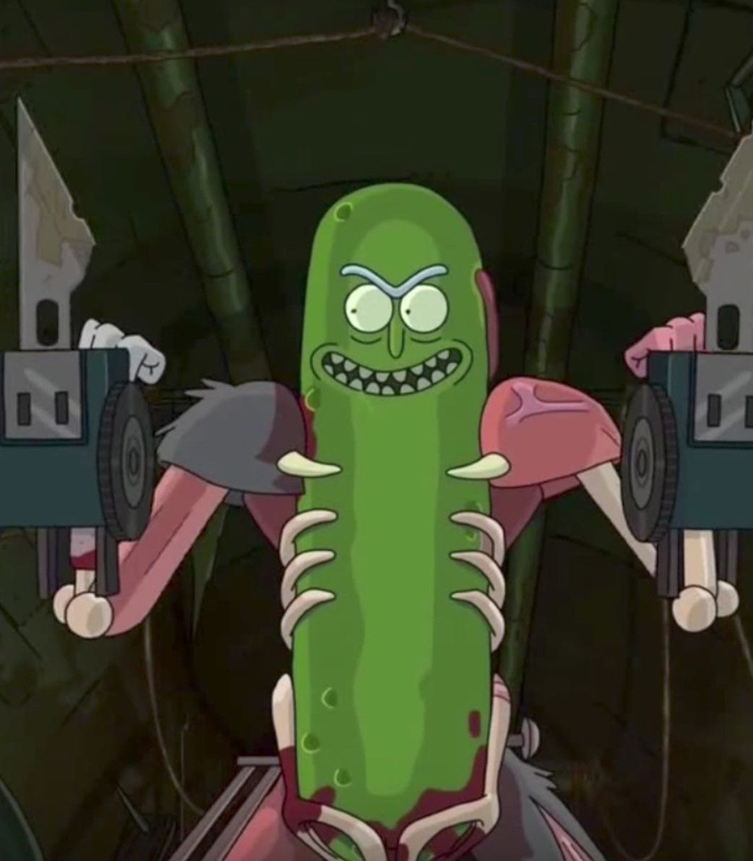 Rick as Pickle Rick Rick and Morty TLDR