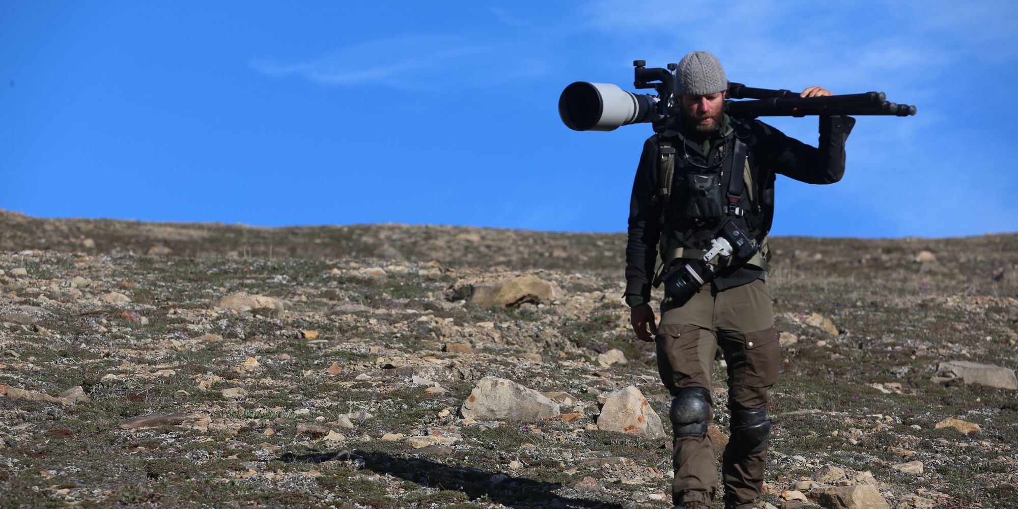 Kingdom Of The White Wolf Interview: Ronan Donovan On Nat Geo WILD’s New Event Series