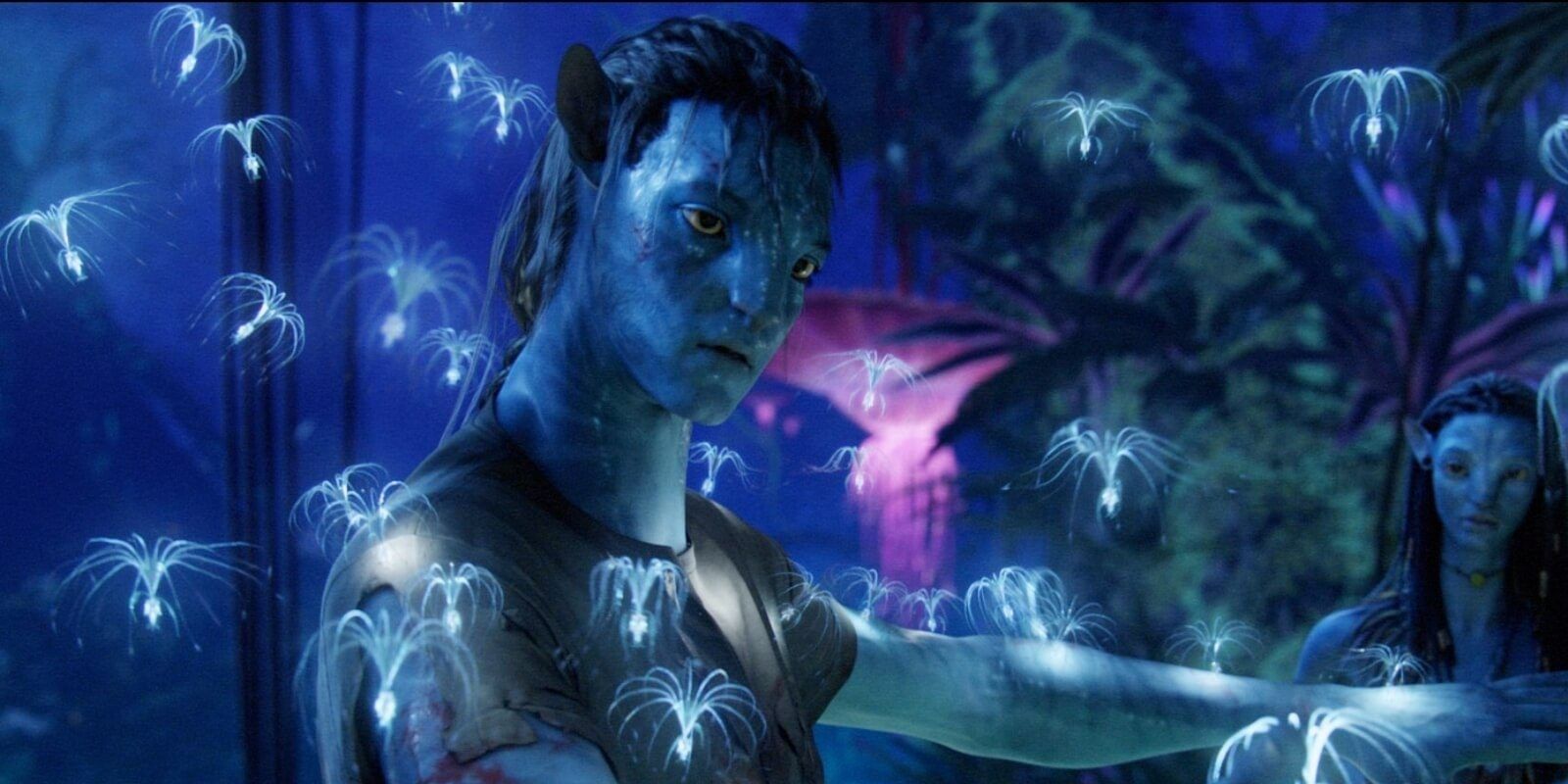 Jake Sully with the glowing bugs in Avatar