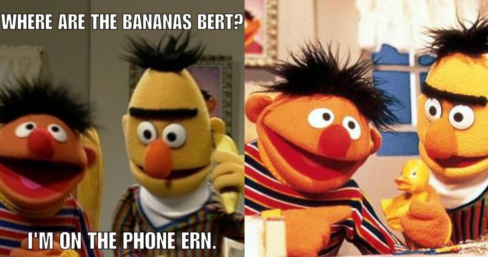 Sesame Street: 10 Hilarious (& Adorable) Bert And Ernie Memes