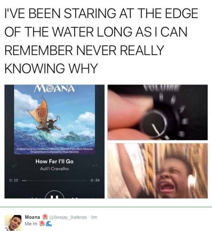 10 Hilarious Moana Memes That Are Too Funny Screenrant 10 Hilarious Moana Memes That Are Too Funny Screenrant