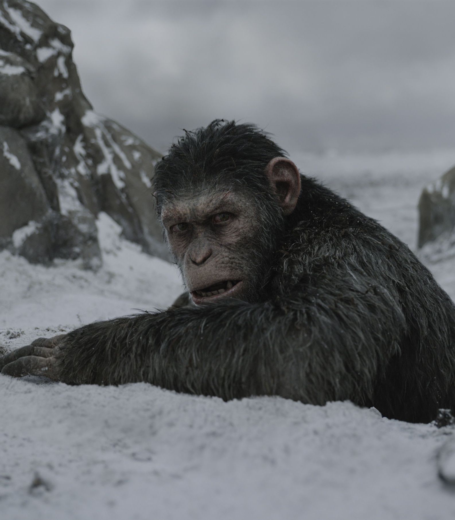 War for the Planet of the Apes Caesar Vertical TLDR