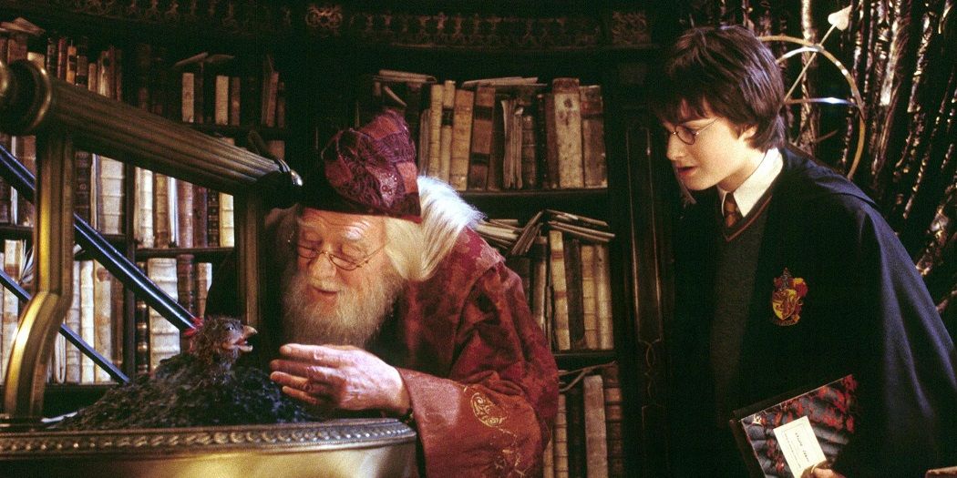 Harry Potter 5 Reasons Dumbledore Should Have Told Harry About The Prophecy Earlier (& 5 He Was Right Not To)