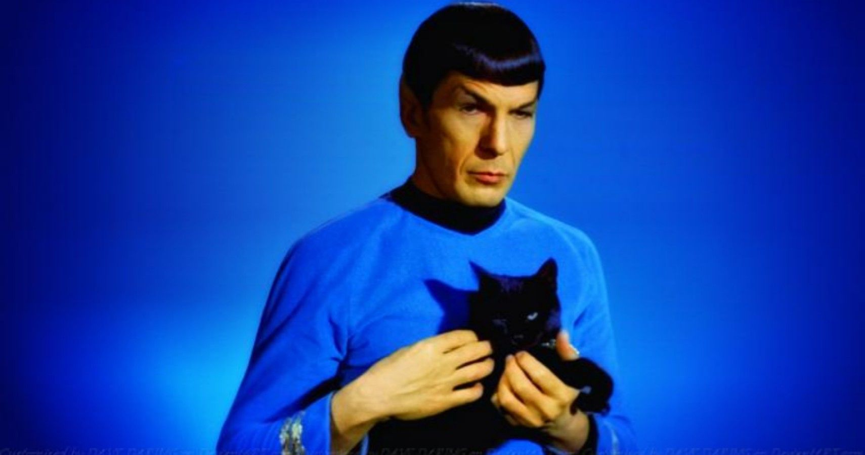 Star Trek 10 Crazy Spock Fan Theories That Have Actually Been Confirmed