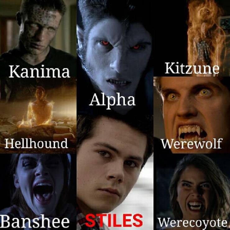 10 Hilarious Teen Wolf Memes Only True Fans Will Understand