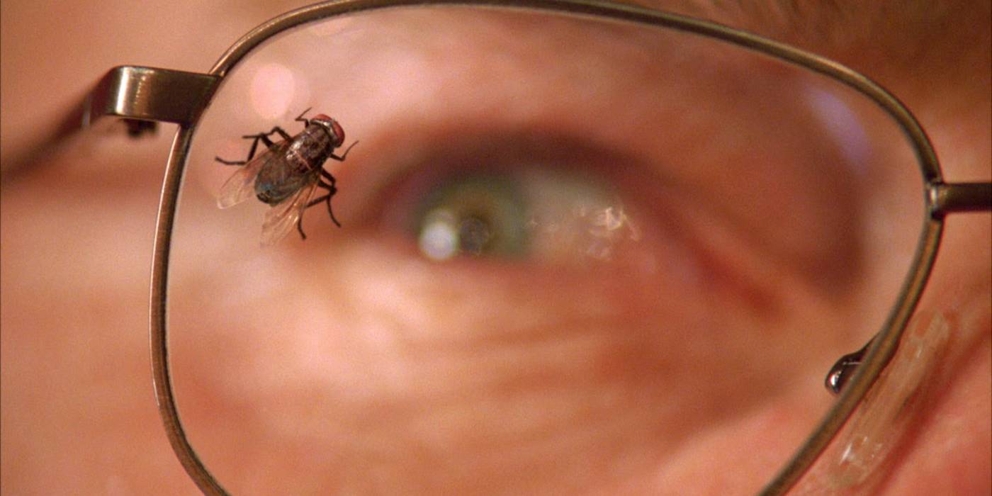 A close-up shot of a fly on the lens of Walter White's glasses