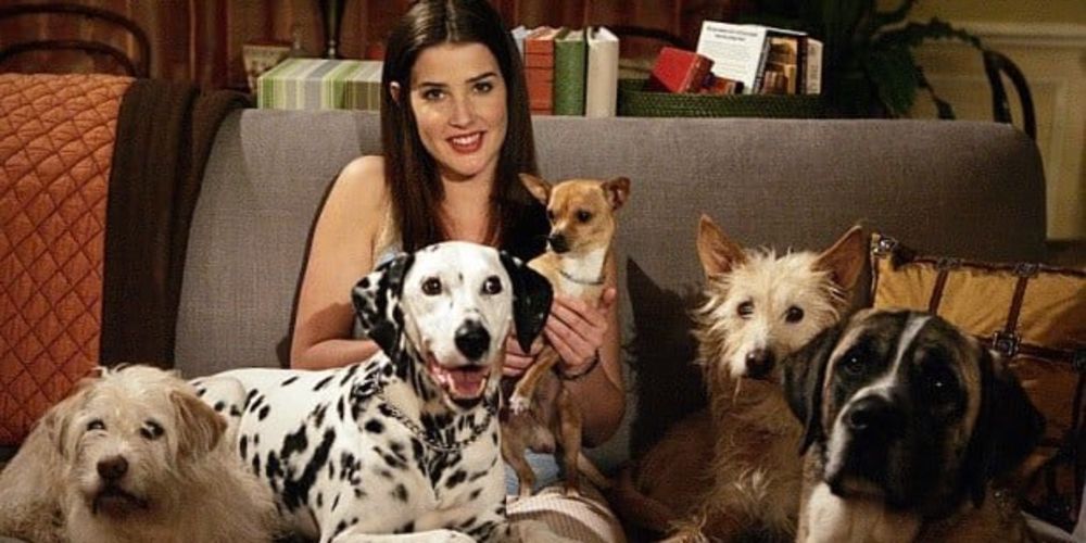How I Met Your Mother: Robin with her dogs