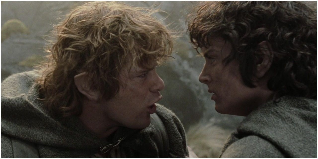 Frodo and Sam Fighting