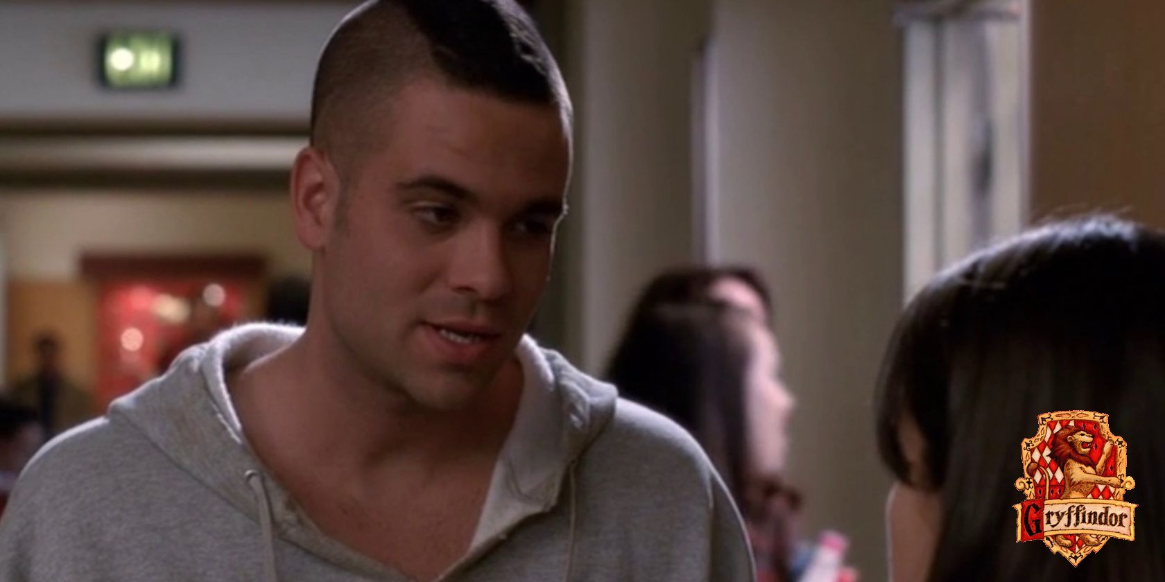 An image of Puck in Glee with the Hogwarts Gryffindor crest in the lower right corner