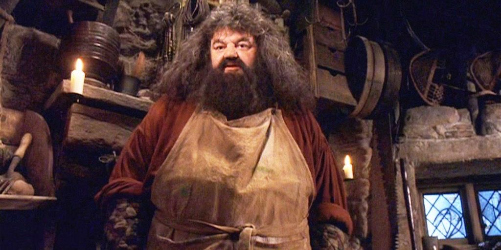 Hagrid wearing apron in his hut in Harry Potter
