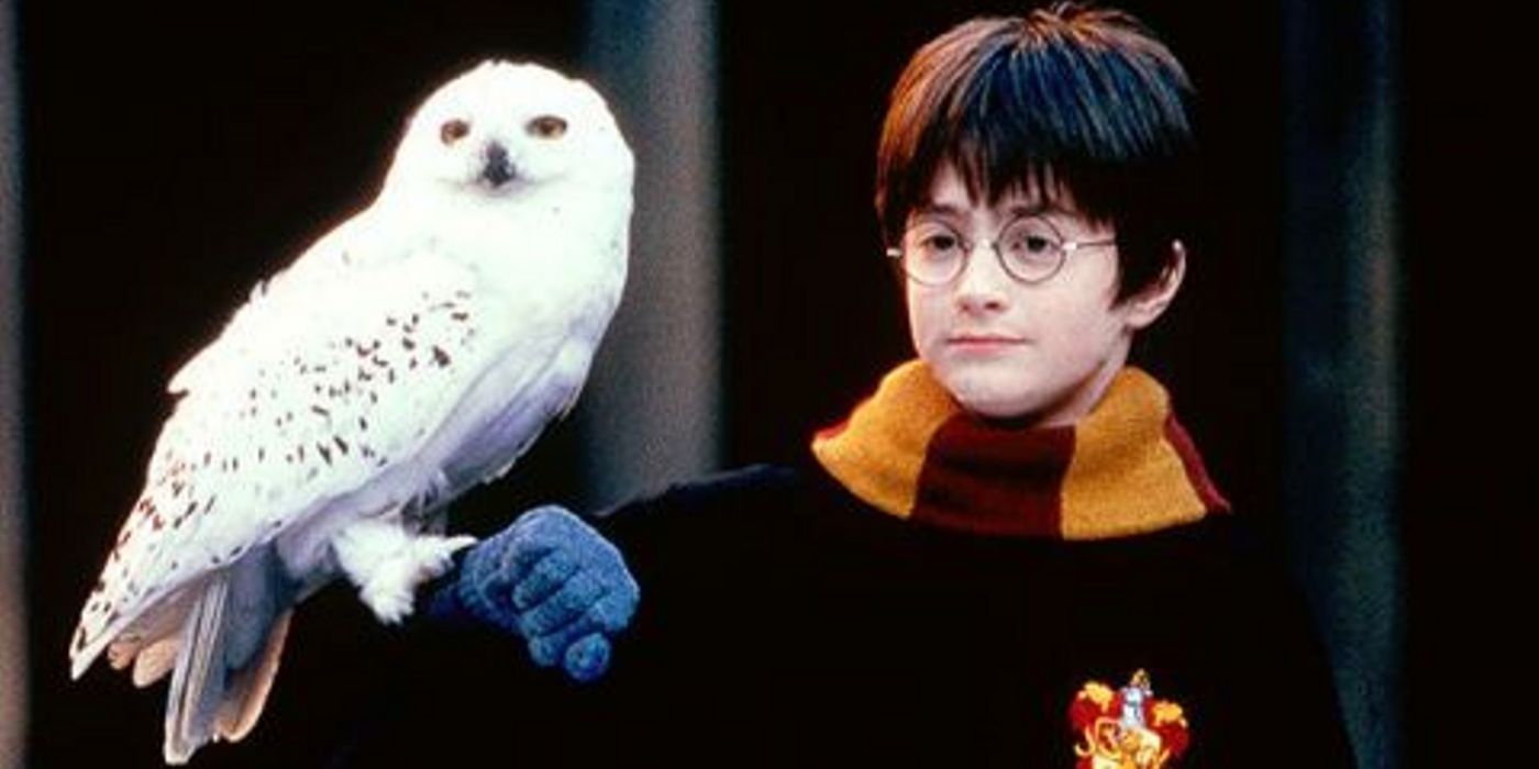 Harry Potter Hedwig