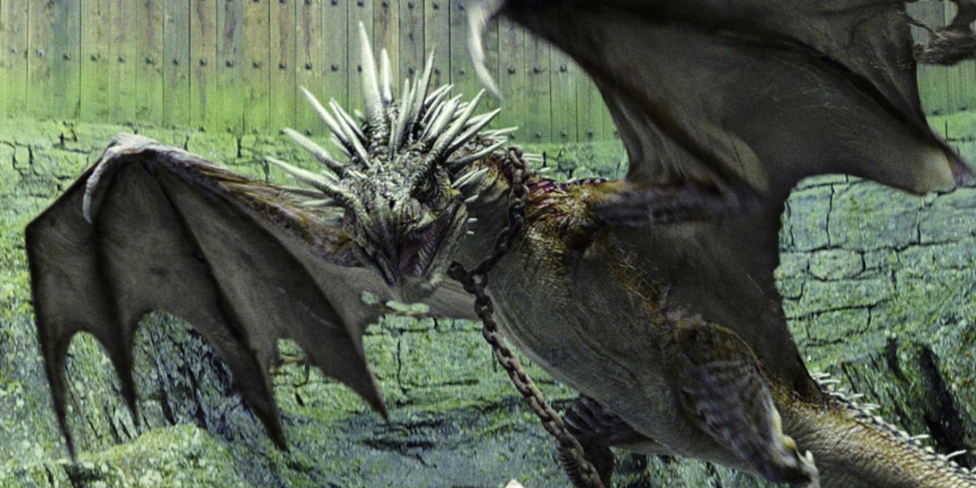 The Hungarian Horntail in Goblet of Fire