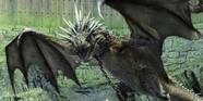 Dragons Harry Potter Les Symboles Dans Harry Potter Les Dragons DBQZP