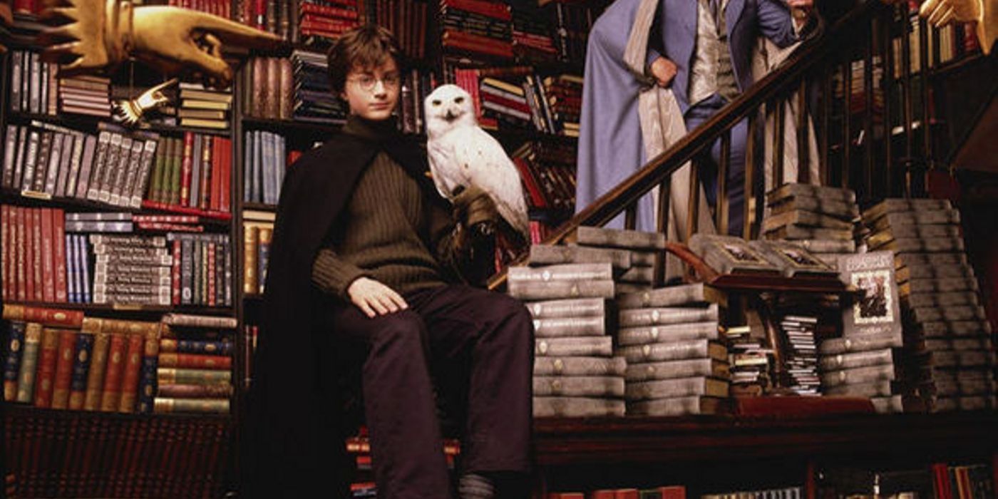 Daniel Radcliffe como Harry Potter segurando Edwiges em uma livraria